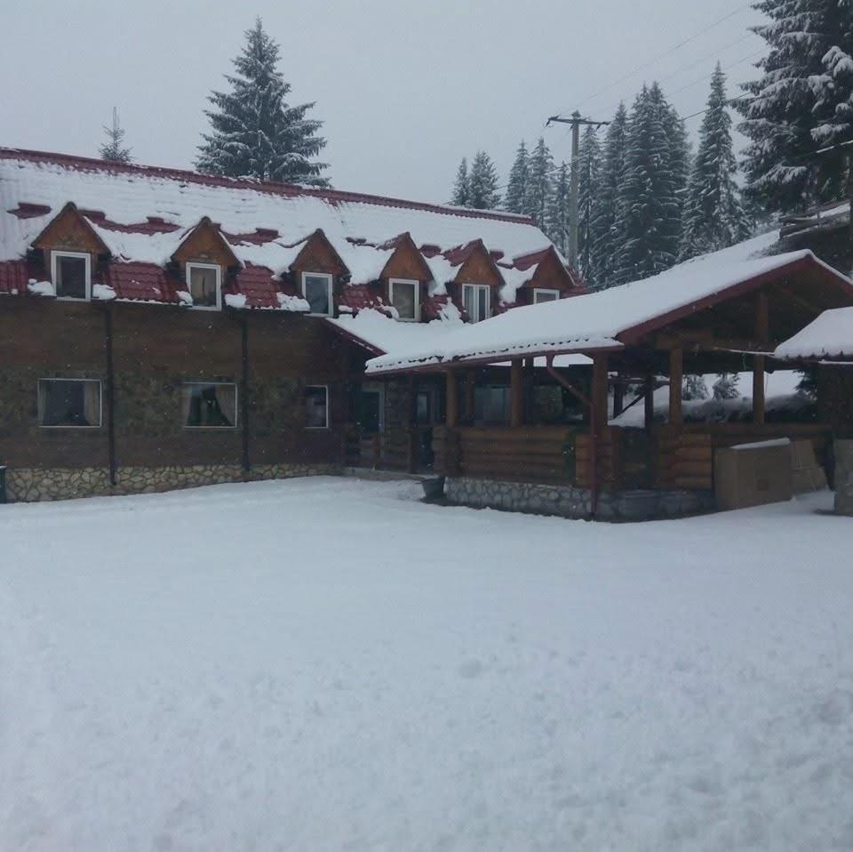 Vila Speranta Arieşeni Zewnętrze zdjęcie